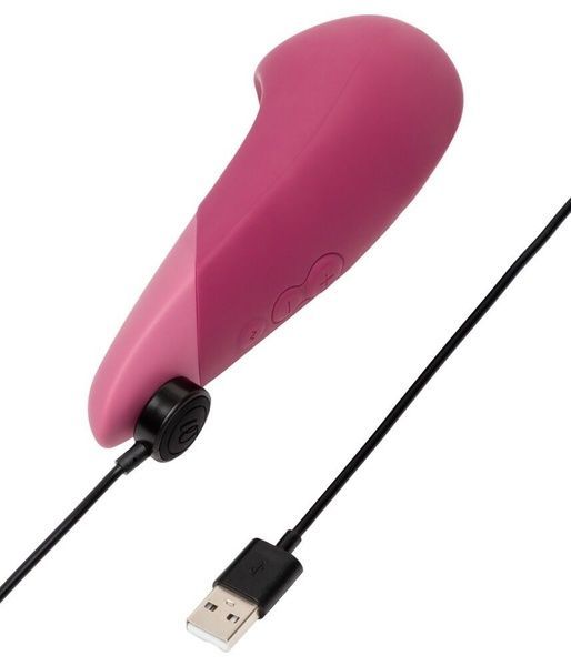 Вібратор Womanizer Vibe Dusky Pink SX2144 фото