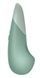 Вібратор Womanizer Vibe Sage SX2146 фото 3