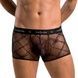 Мужские прозрачные боксеры Passion 032 SHORT JAMES XXL/XXXL Black, сетка SO7569 фото 1