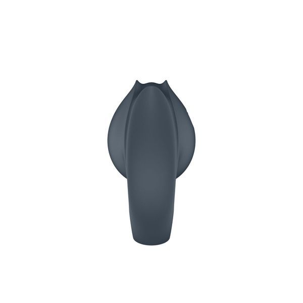 Вібратор Satisfyer Perfect Pair 2 SX2168 фото