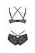 Комплект Passion DROSERA BIKINI black, S/M, бюстгальтер и трусики-кюлоты SX0468 фото 4